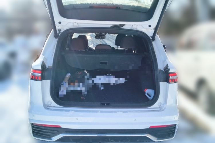 Used Geely Auto Monjaro L 2021 2.0TD DCT EVO Two-Wheel Drive Prestige Version