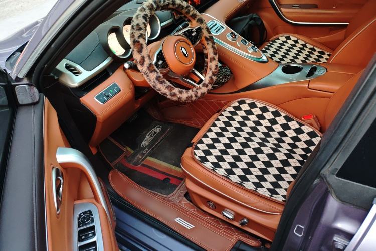 Used ORA Lightning Cat 2022 555 km Luxury Edition
