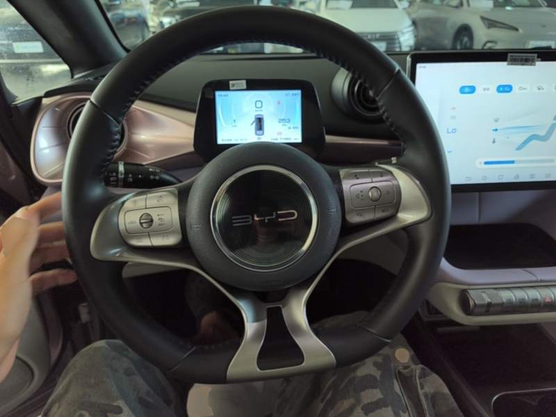 Used BYD Dolphin 2021 401km Knight Edition — 10