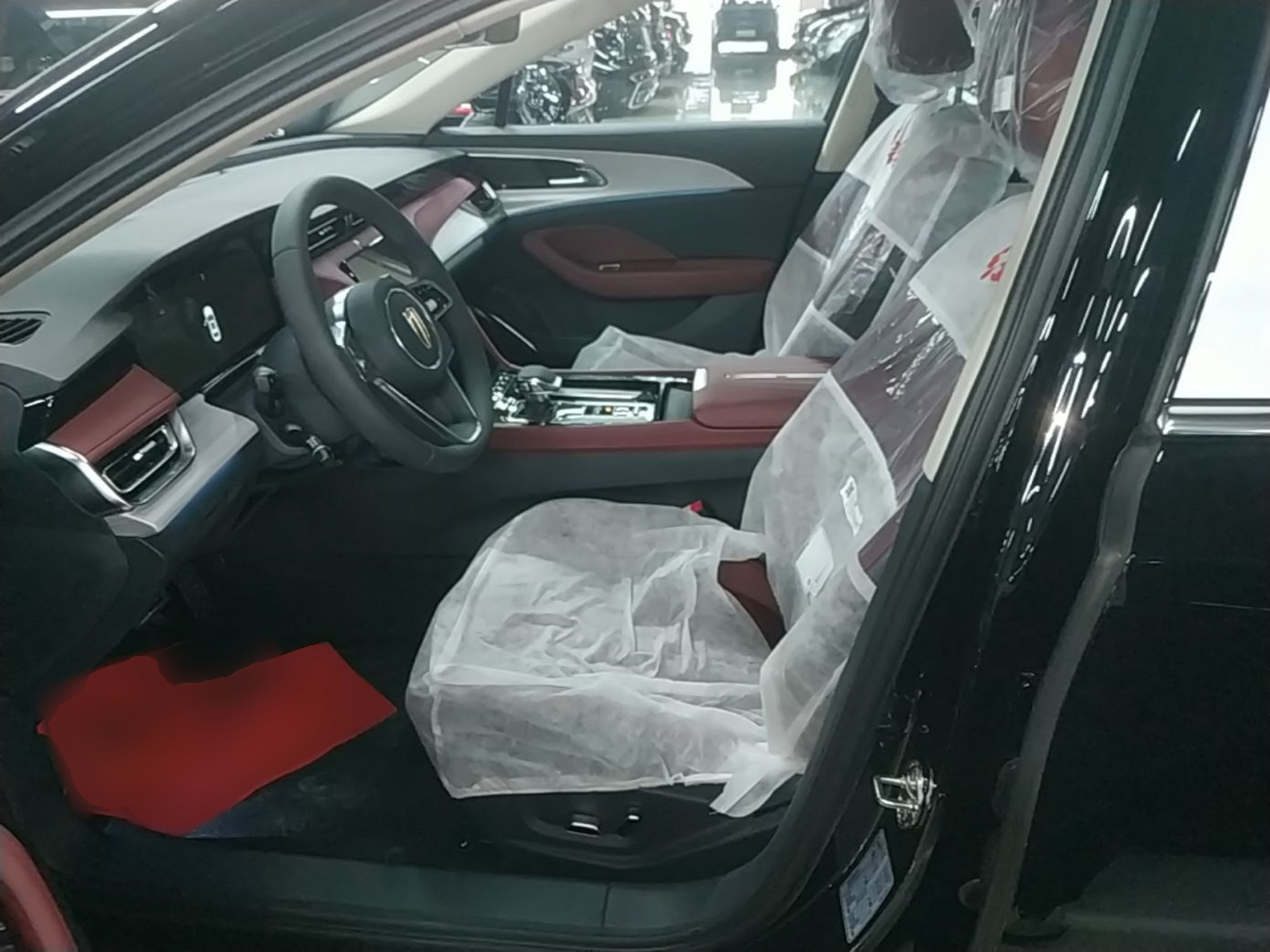 Interior delantero