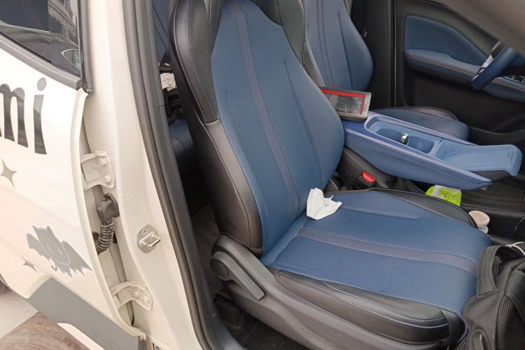 Used BYD Seagull 2023 Free Edition Right Front Seat