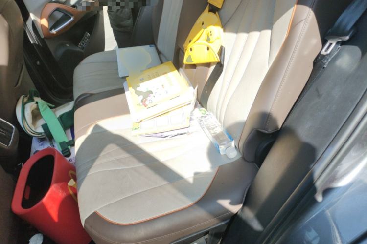 Used BYD Song Pro New Energy 2022 DM-i 110km Flagship Pro Model Left Rear Seat