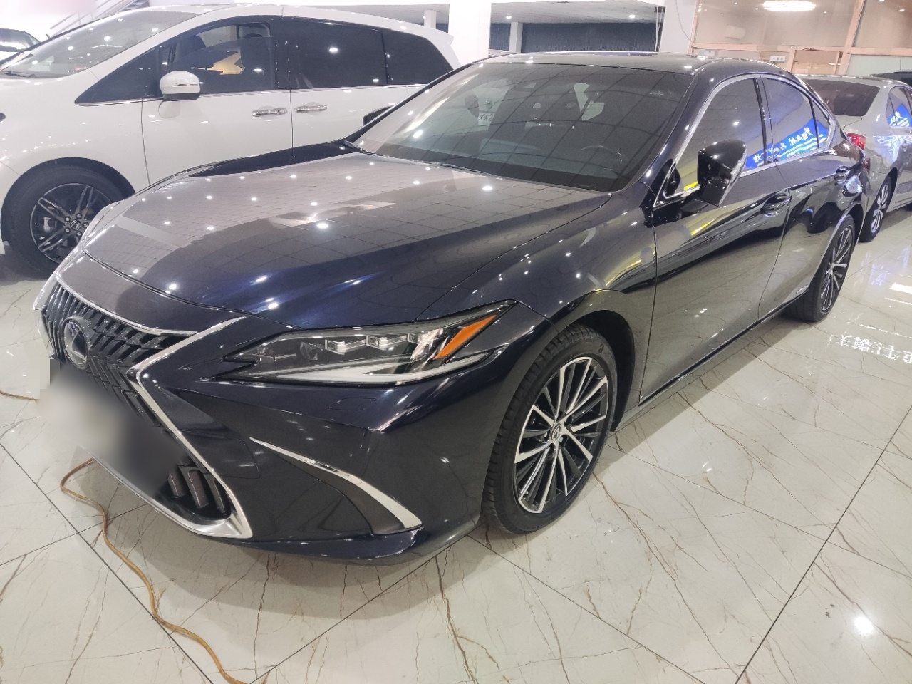 Parte inferior delantera