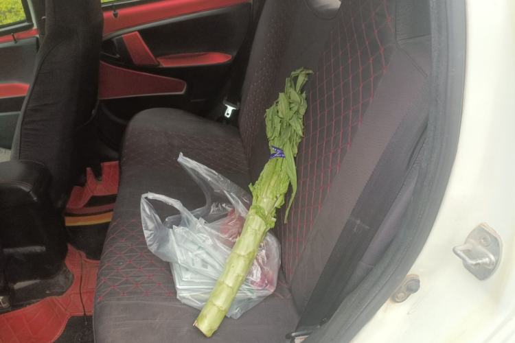 Used BYD F0 2011 Shangku Edition 1.0L XuanKu Model Left Rear Seat