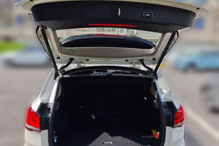 Used BMW X1 2020 sDrive20Li Premium Edition