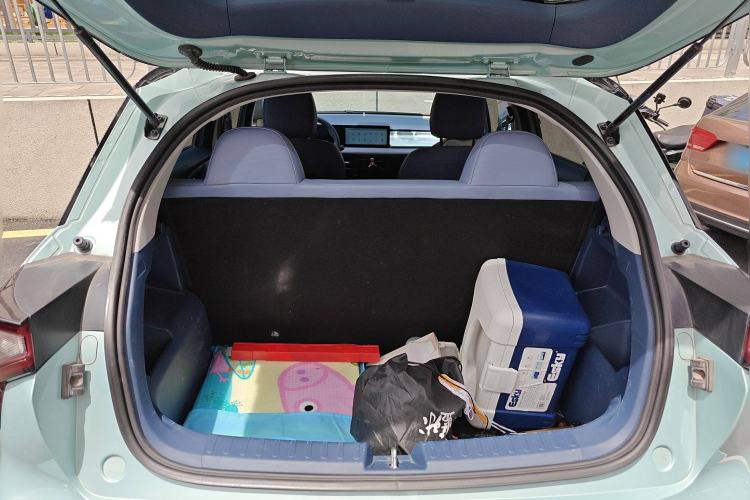 Used Geometry E Firefly 2022 401KM Lightning Tiger 4-Seater
