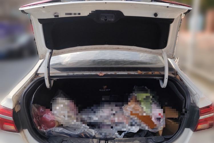 Used Roewe i6 2018 20T Automatic Flagship Edition Trunk