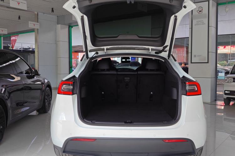 Used Tesla Model Y 2021 Standard Range Rear-Wheel Drive Version
