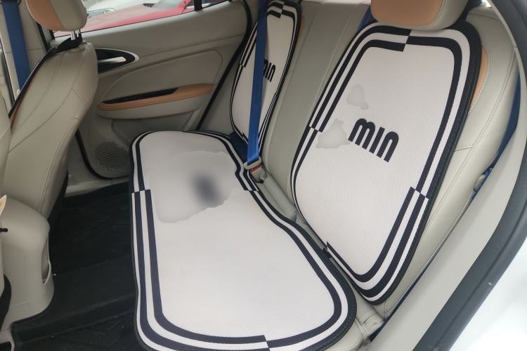 Used ORA Good Cat 2024 401 km Luxury Version