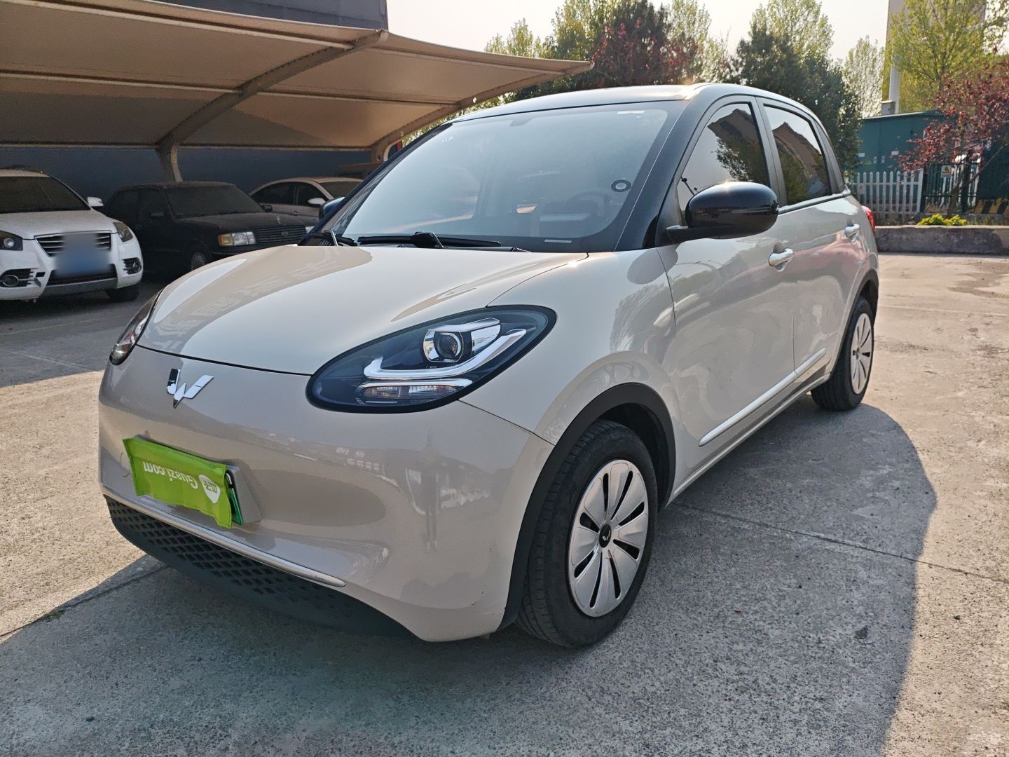 Parte inferior delantera