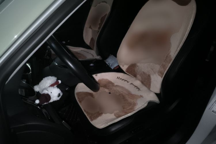 Used Volkswagen Golf 2018 230TSI Automatic Luxury Version Left Front Seat