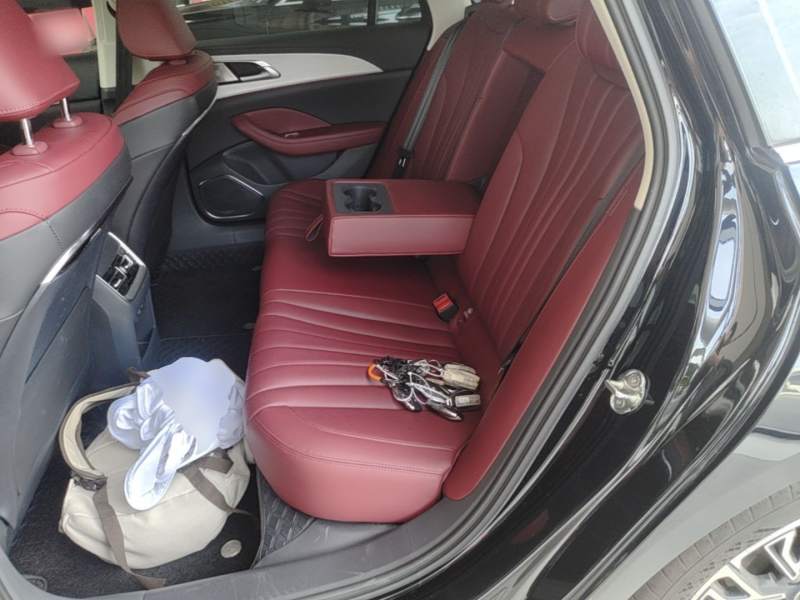 Used Hongqi H5 2025 2.0T Automatic Flag Edition – 500 000 Units Commemorative Version — 16
