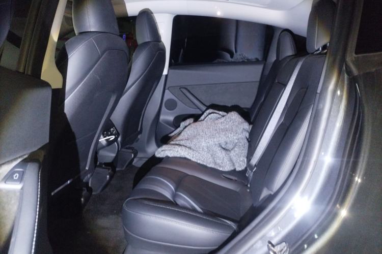 Used Tesla Model Y 2022 Revised Version Rear-Wheel Drive Left Rear Seat