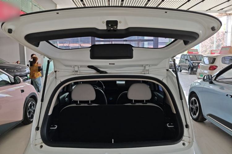 Used ORA White Cat 2020 360 km Luxury Version
