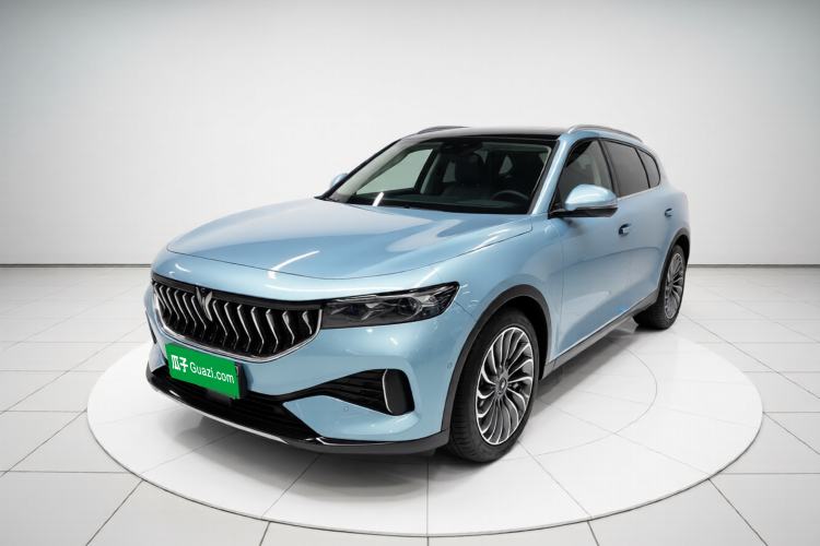 Used VOYAH FREE 2021 Two-Wheel Drive Standard Pure Electric City Edition