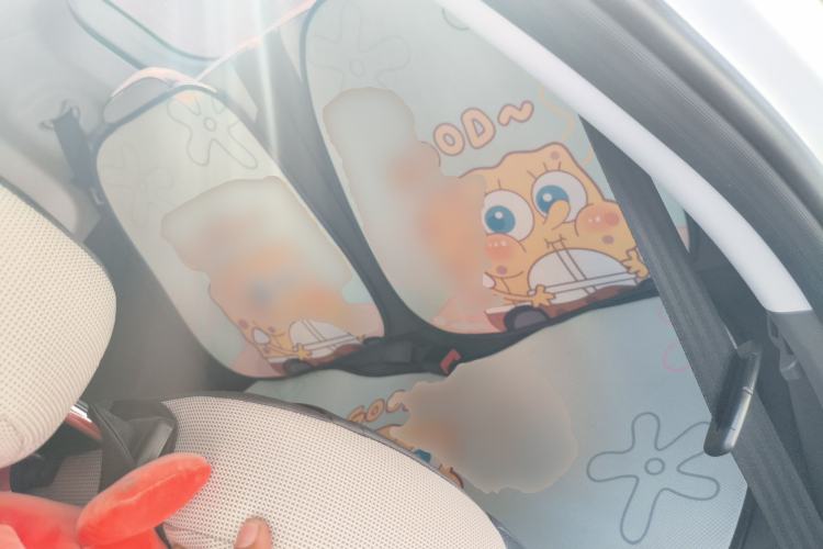 Used CHANGAN NEVO Lumin 2022 210km Sweet Edition Left Rear Seat