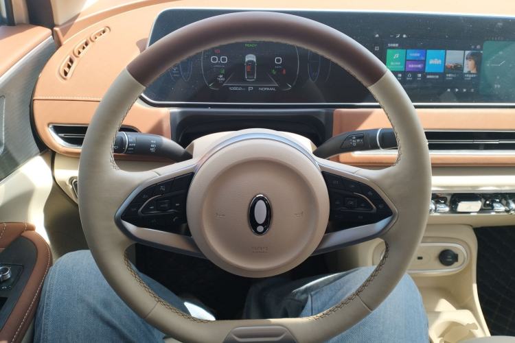 Used ORA Good Cat 2023 401 km Standard Range Comfort Version Lithium Iron Phosphate
