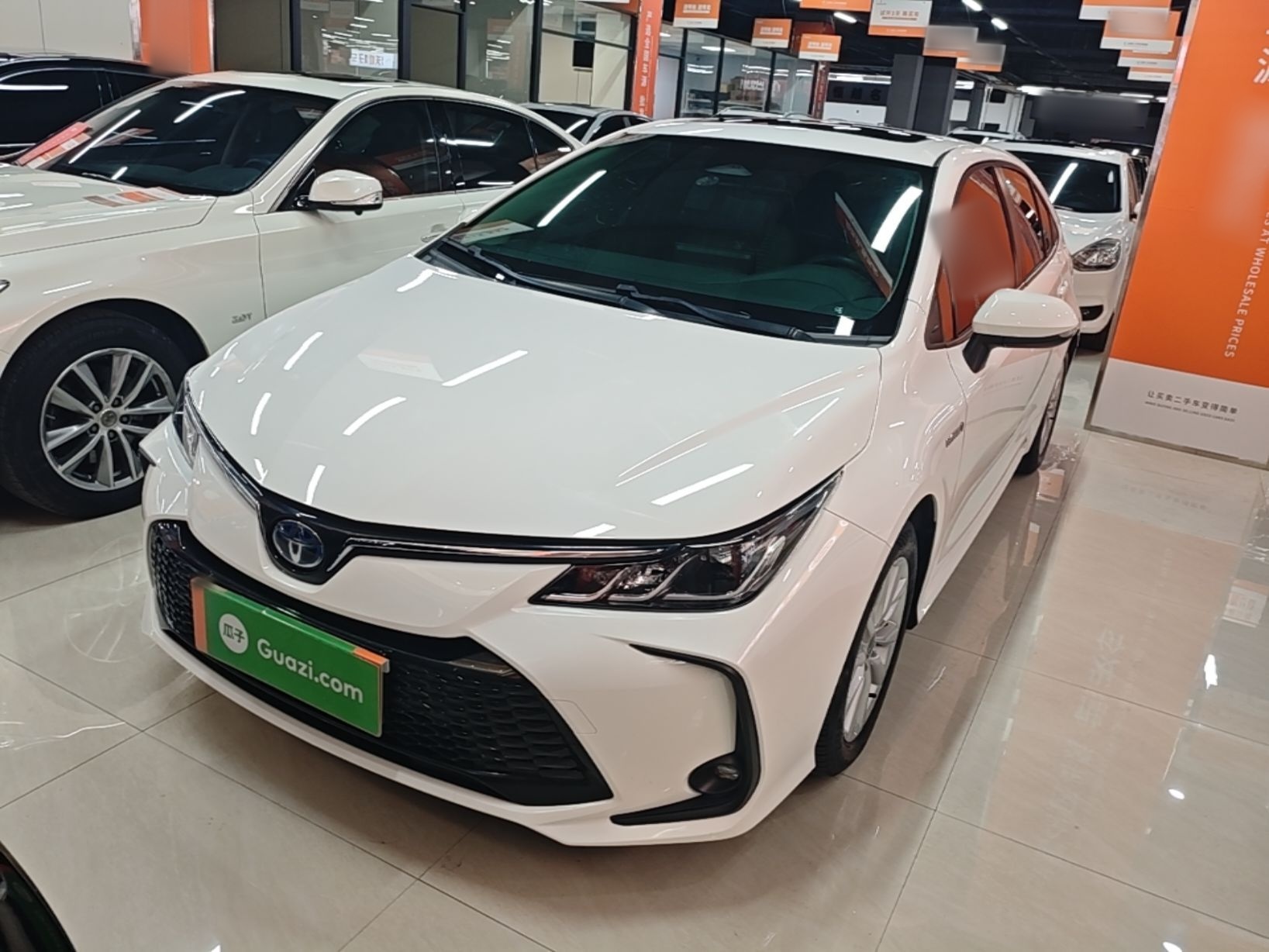 Parte inferior delantera