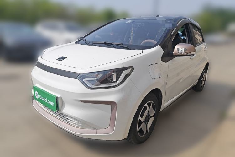 Used SOL E10X 2022 Flower Fairy Style Baby's Breath