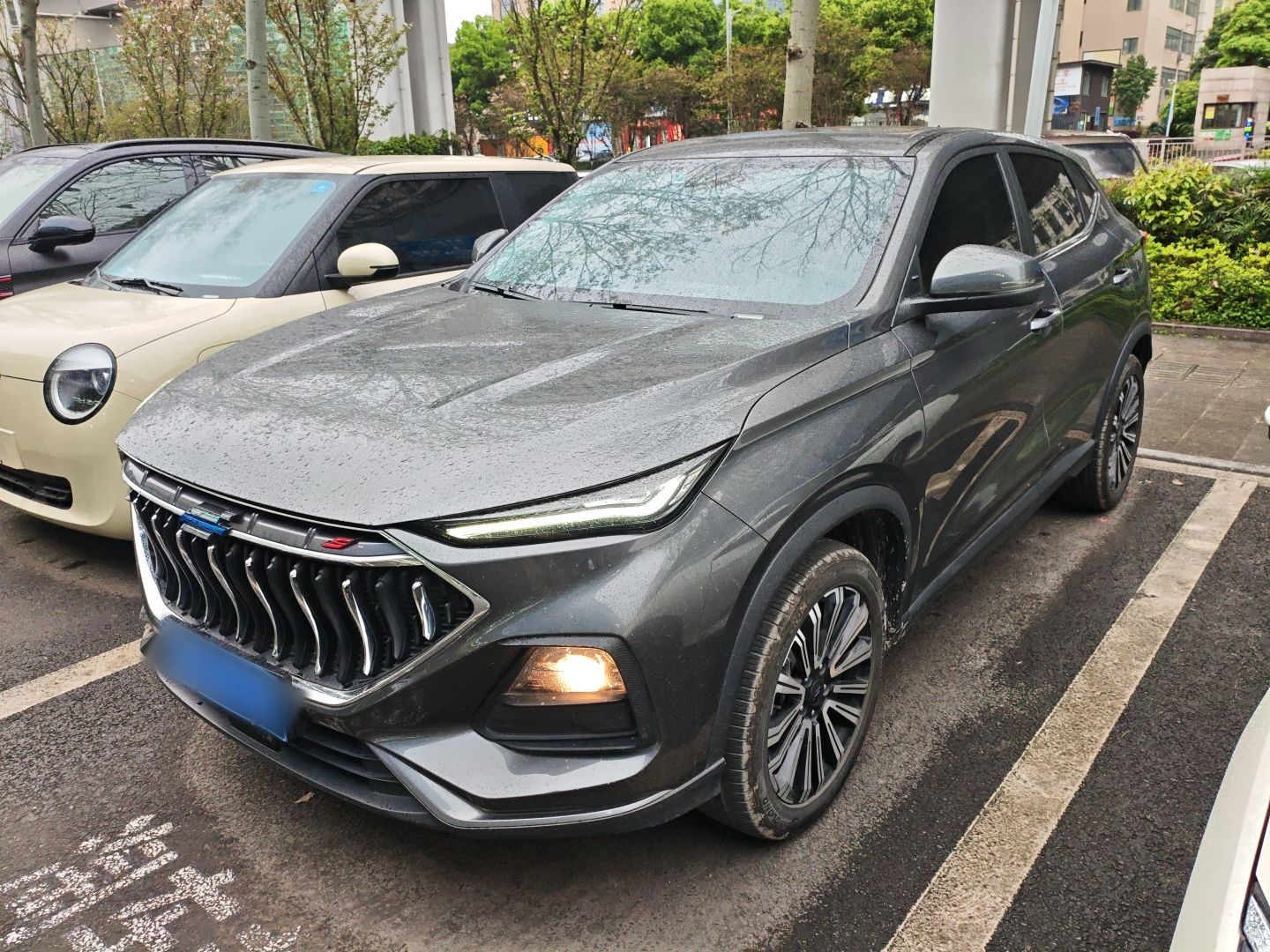 تحت مقدمة السيارة