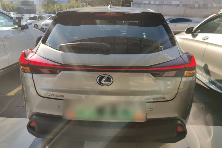 Used Lexus UX New Energy 2020 300e Pure·Enjoy Edition