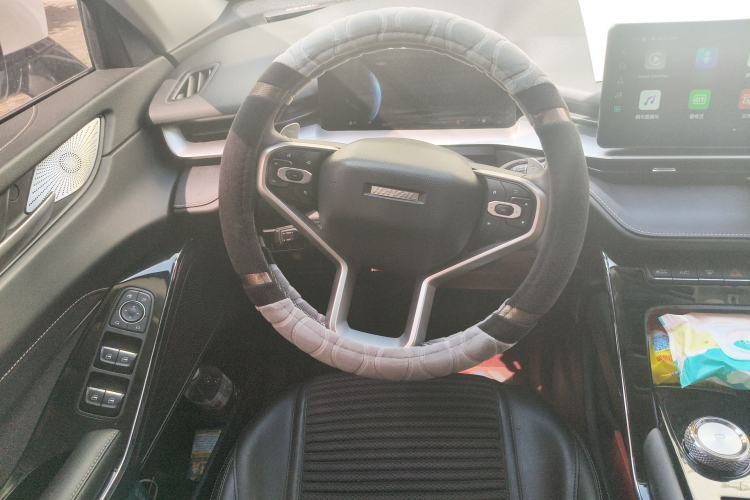 Used Haval H6 2021 3rd Generation 1.5T Automatic Two-Wheel Drive Pro
