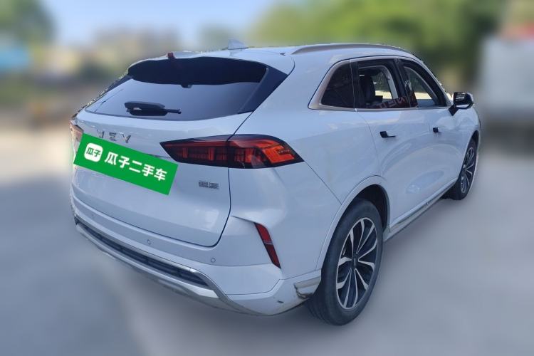 Used Wey Mocha 2021 2.0T Two-Wheel Drive Special Edition
