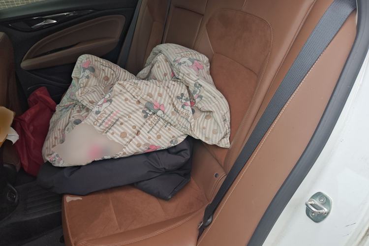 Used Buick Regal 2019 20T Elite Version China V Standard
