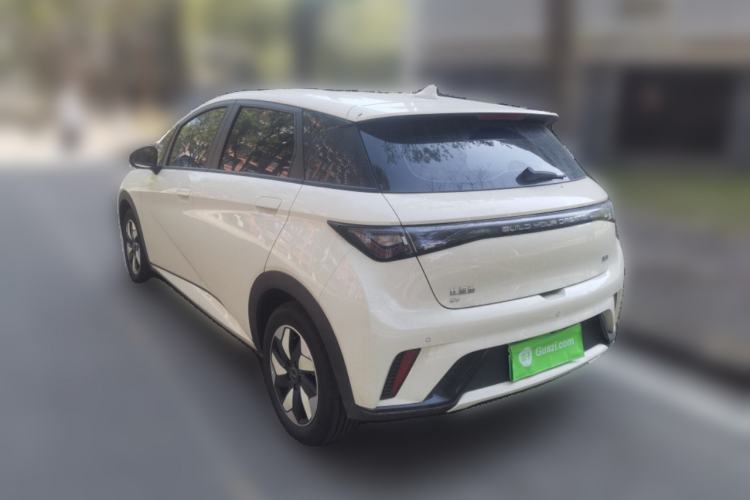 Used BYD Dolphin 2024 Honor Edition 420km Freedom Version
