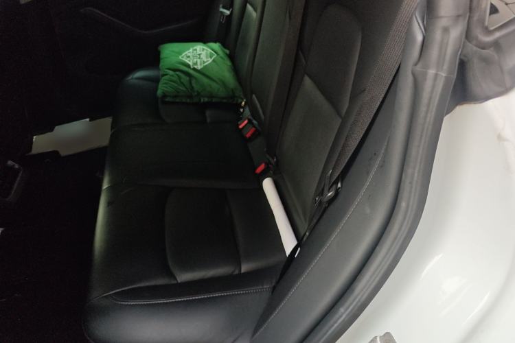 Used Tesla Model 3 2019 Long-Range All-Wheel-Drive Version Left Rear Seat