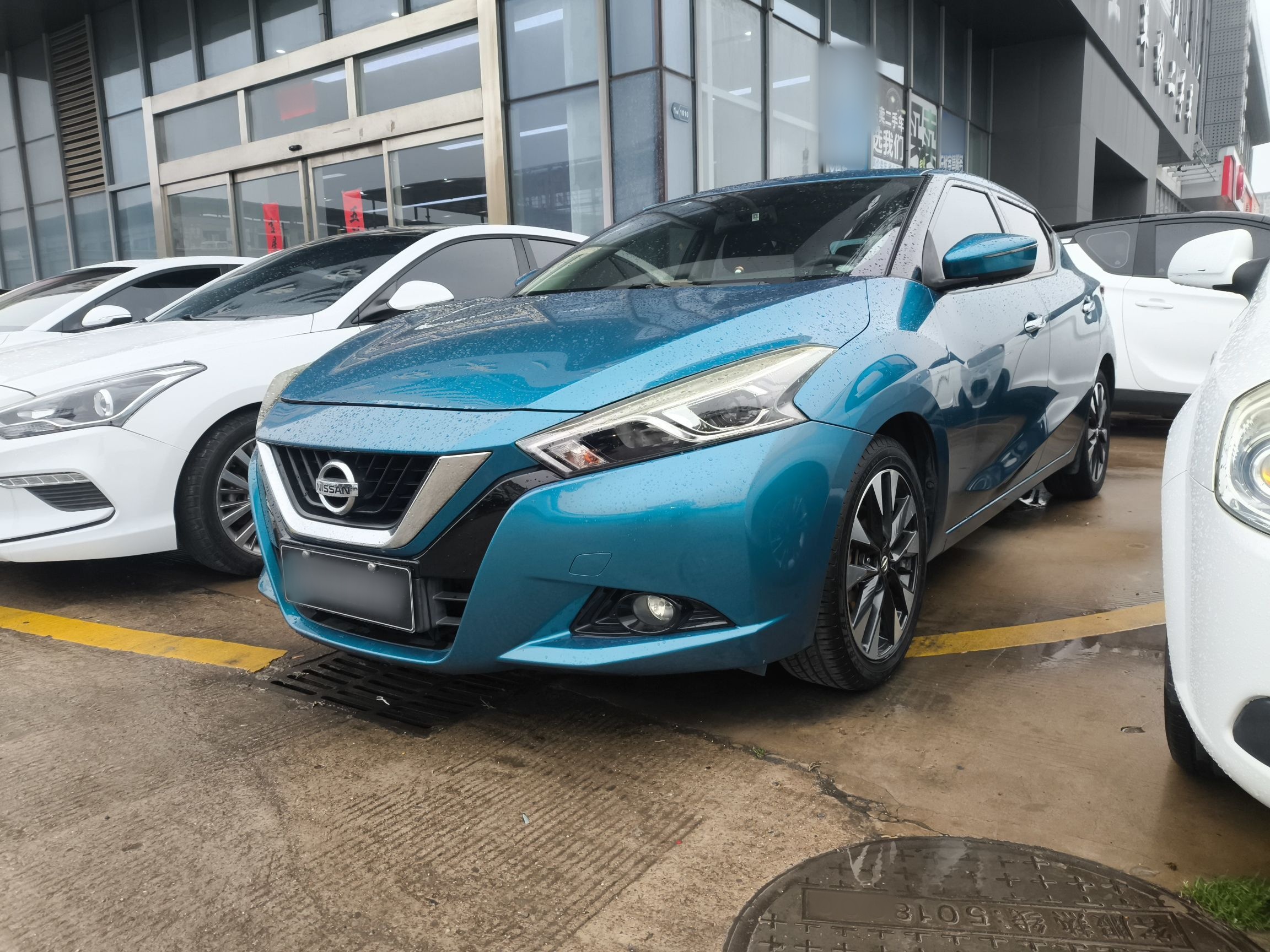 Parte inferior delantera