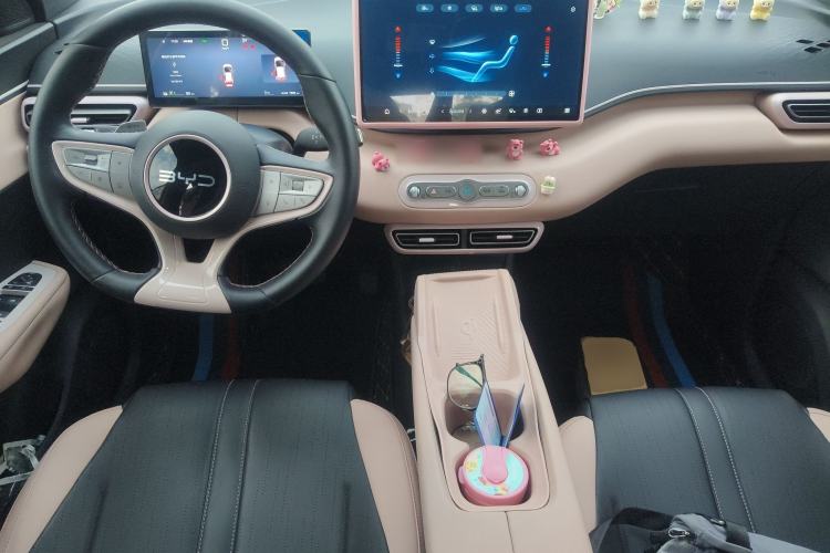 Used BYD Seagull 2025 Smart Drive Version 305 km Freedom Edition
