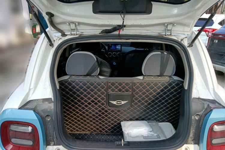 Used ORA Black Cat 2019 351 km Lingzhi Edition