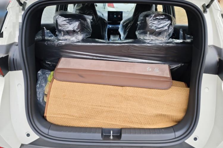 Used BYD Seagull 2025 Intelligent Driving Version 305 km Dynamic Edition
