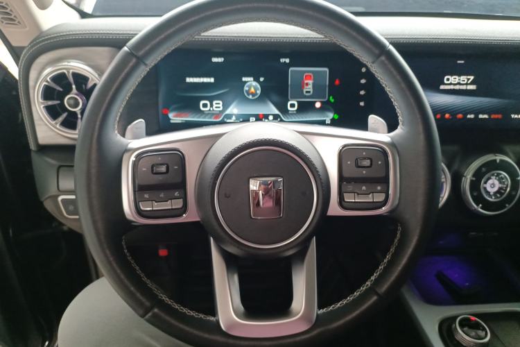 Used Tank 300 2021 City Edition 2.0T—Truly Stylish Steering Wheel