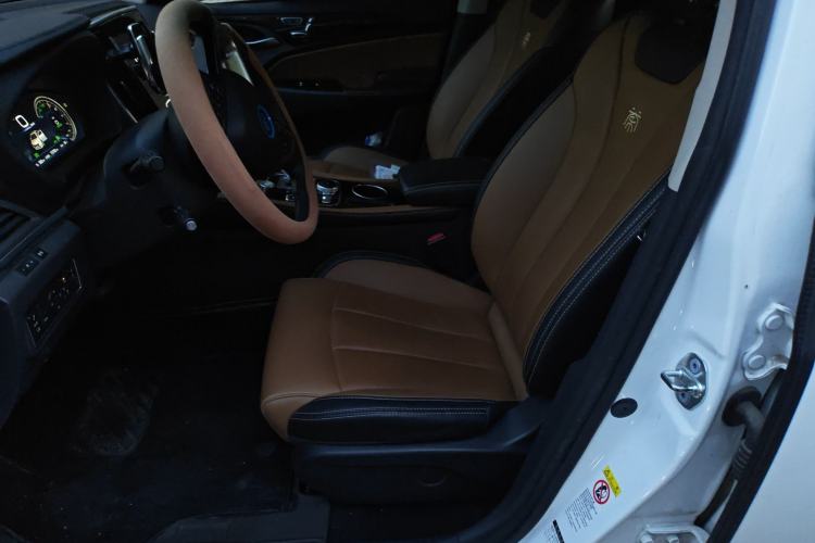 Used BYD Qin New Energy 2018 Qin EV450 Smart Connect Prestige Model Left Front Seat