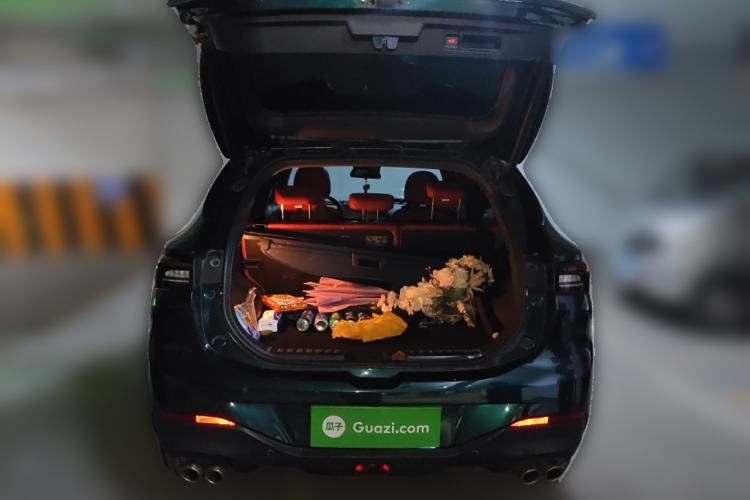 Used FORTHING T5 EVO 2021 1.5TD DCT Starry Edition Trunk