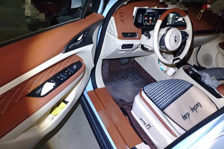 Used ORA Good Cat 2022 Morandi Edition 400km Standard Range Premium Version Lithium-Ion Battery Driver Seat