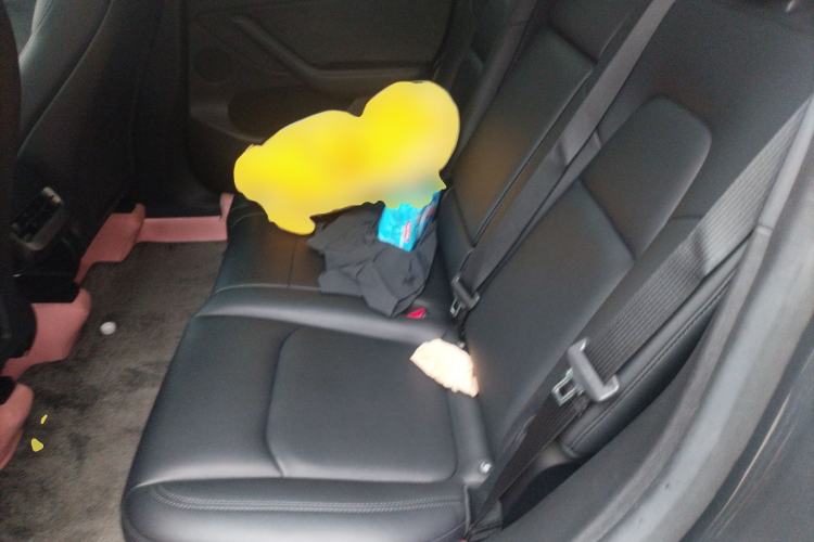 Used Tesla Model Y 2023 High-Performance All-Wheel-Drive Version
