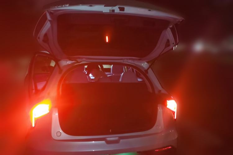 Used Geometry E Firefly 2024 401km Starlight
