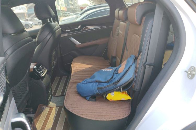 Used BYD Tang New Energy 2021 DM-i 112KM Prestige Model Left Rear Seat