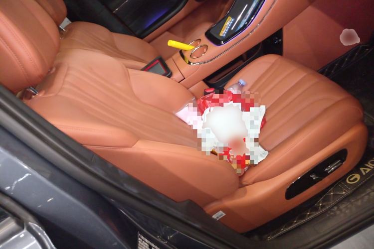 Used AION V 2024 Aion Tyrannosaurus 650 LiDAR Edition
