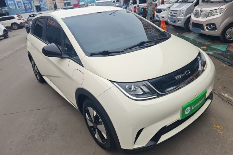 Used BYD Dolphin 2023 420 km Free Version Front Right 45 Deg