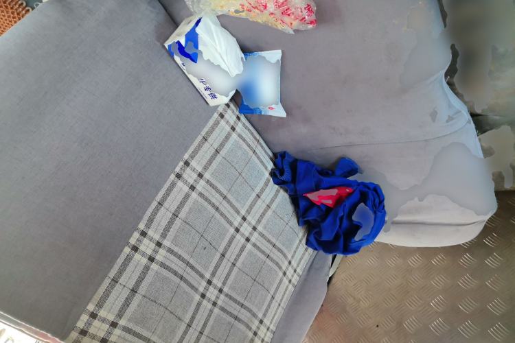 Used FORTHING Lingzhi 2020 M5L 1.6L Utility Model Left Rear Seat