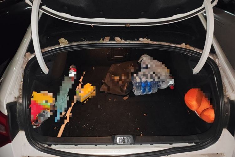 Used Citroen C5 2014 1.6T Automatic Luxury Model