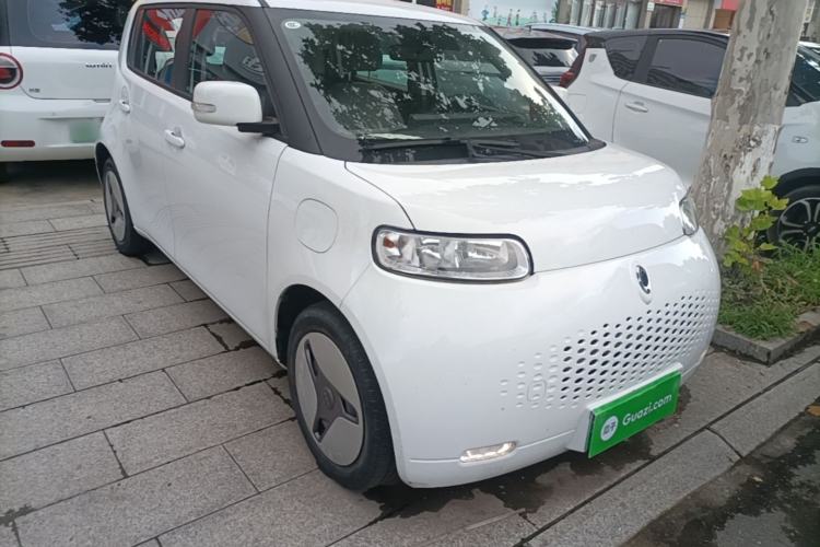 Used ORA White Cat 2020 360 km Luxury Version