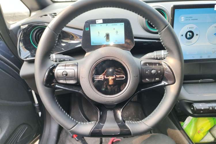 Used BYD Dolphin 2024 Honor Edition 420km Freedom Version