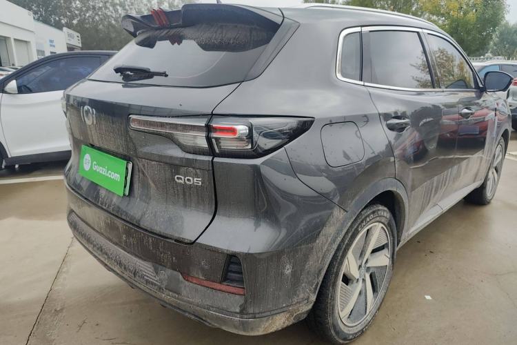 Used Qiyuan Q05 2023 125 Max
