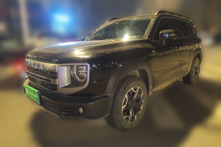 Used Haval DARGO 2024 2.0T DCT Chinese Rural Dog Edition