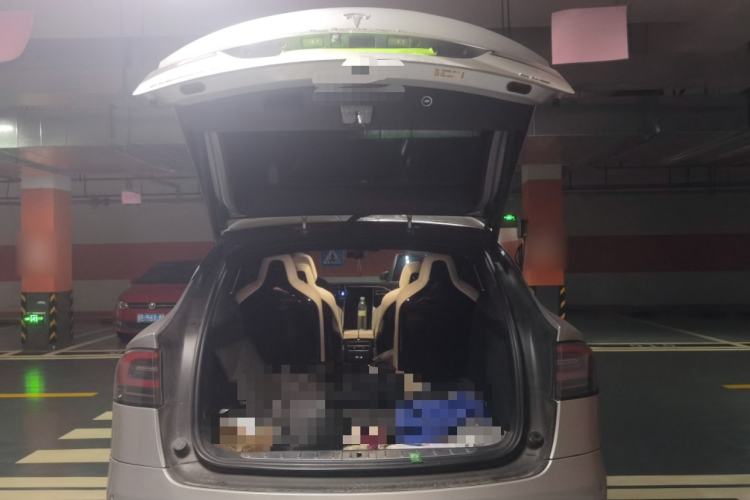 Used Tesla Model X 2016 X 90D